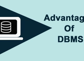 Choose a Winning Business DBMS – 8 Key Considerations to Make DBMS