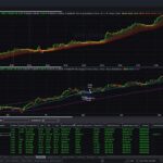 MyTradingCollege