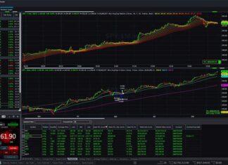 MyTradingCollege Complete Review | How I Mastered Forex Trading in 2021 MyTradingCollege