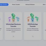 Whatsapp-Transfer-button