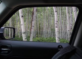 How To Fix Your Car Window? Fix Your Car Window