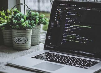 Why Use Go for Your Next Project And All You Need To Know About Golang Programming Golang Programming