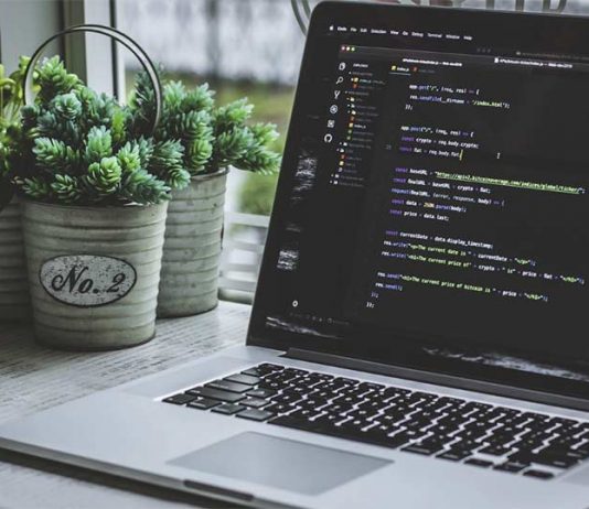Why Use Go for Your Next Project And All You Need To Know About Golang Programming Golang Programming