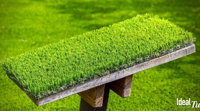 How To Pick an Artificial Turf Company Near Knoxville, TN Artificial Turf Company
