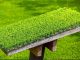 How To Pick an Artificial Turf Company Near Knoxville, TN Artificial Turf Company