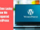 The Third Time Lucky How I Conquered WordPress? Third Time Lucky How I Conquered WordPress