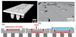 Pioneering The Microscopic: An Inside Look At Nanomaterial Printing Nanomaterial Printing