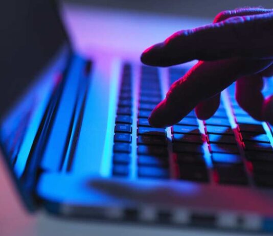 Domain Takedown for Phishing and Fraudulent Websites: Protecting Your Customers Fraudulent Websites