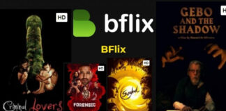 Bflix: Is it Safe & Legal? Find Out Everything Bflix