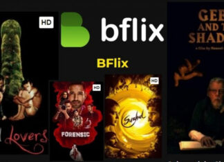 Bflix: Is it Safe & Legal? Find Out Everything Bflix