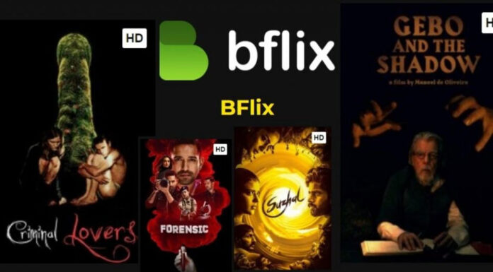 Bflix: Is it Safe & Legal? Find Out Everything Bflix