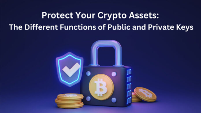 Protecting-Your-Crypto-Assets Protecting Your Crypto Assets