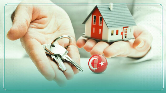 Developer-in-Turkey Developer in Turkey