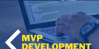 The Role of MVP Development Services in Startup Success MVP Development Services