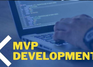 The Role of MVP Development Services in Startup Success MVP Development Services
