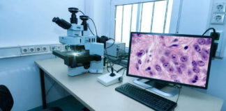 Efficiency Unleashed: How Digital Pathology Software Transforms Labs Digital Pathology