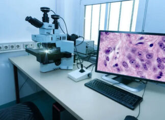 Efficiency Unleashed: How Digital Pathology Software Transforms Labs Digital Pathology