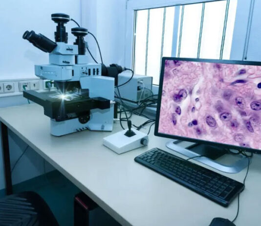 Efficiency Unleashed: How Digital Pathology Software Transforms Labs Digital Pathology