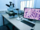 Efficiency Unleashed: How Digital Pathology Software Transforms Labs Digital Pathology