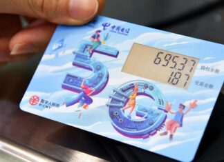 A Novice’s Guide to Digital Yuan and Its Basics Digital Yuan