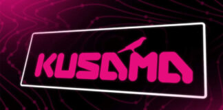 Kusama (KSM) Investment Strategies for Sustainable Gains Kusama (KSM)
