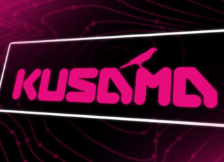 Kusama (KSM) Investment Strategies for Sustainable Gains Kusama (KSM)