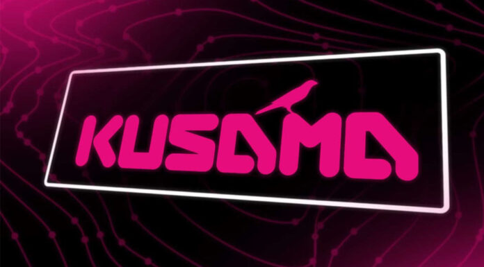 Kusama (KSM) Investment Strategies for Sustainable Gains Kusama (KSM)