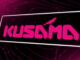 Kusama (KSM) Investment Strategies for Sustainable Gains Kusama (KSM)