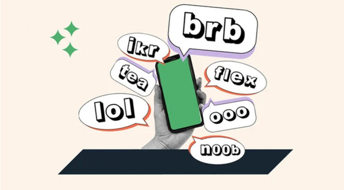 Discovering the Origins of Internet Slang: Usenet Jargon Internet Slang