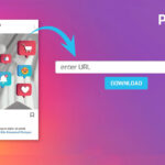 Picnob