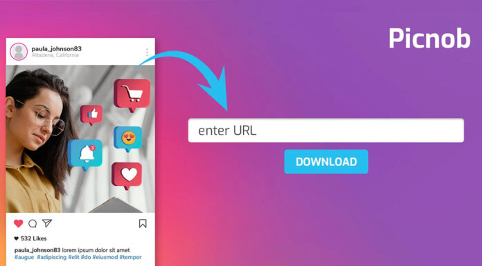 What Is Picnob? Complete Guide to the Instagram Viewer Tool Picnob